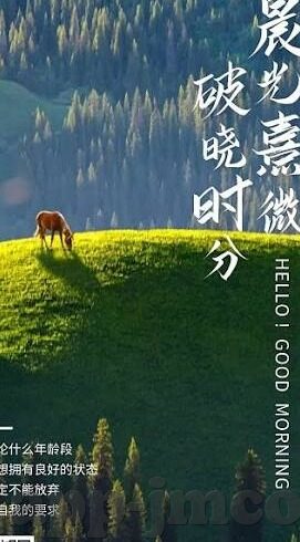 国产乱人伦av麻豆网-探索国产电影的多样性与文化价值,多方面看国产乱人伦AV网